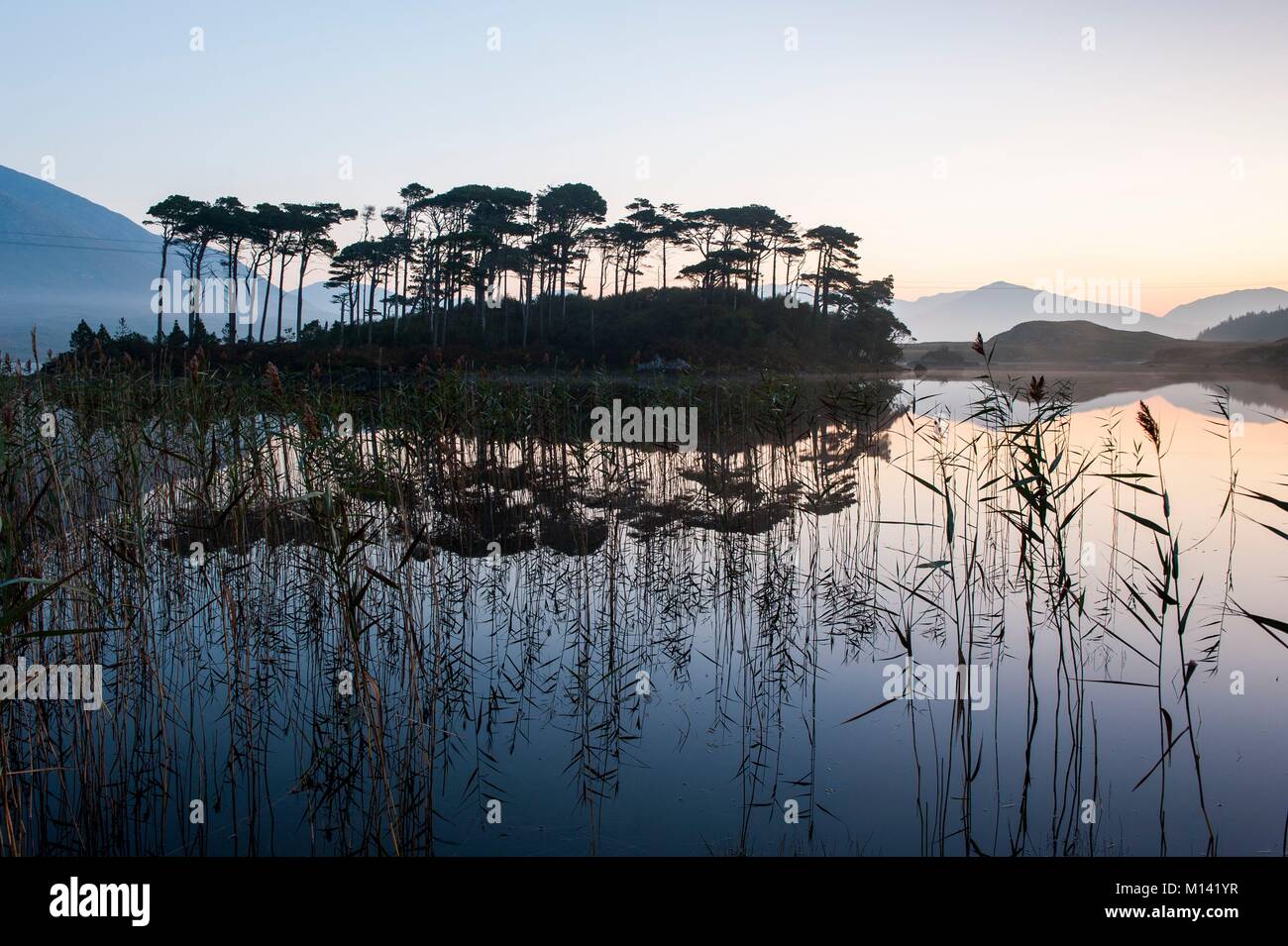 L'Irlanda, nella contea di Galway, Parco Nazionale del Connemara, Derryclare Lago di sunrise Foto Stock