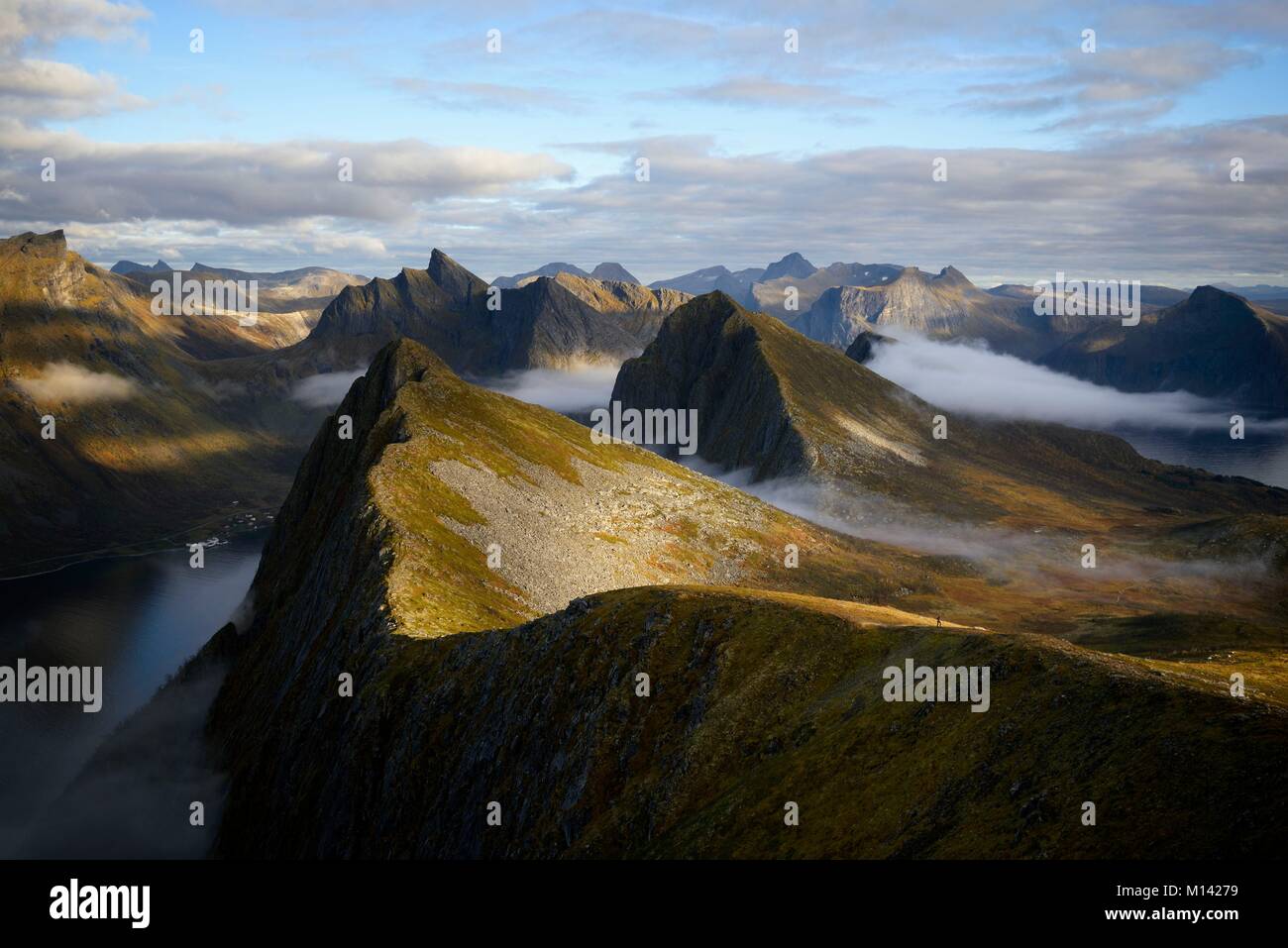 Norvegia, Troms County, a nord del Circolo Polare Artico, Senja isola tra Tromso e le isole Lofoten, trekking al vertice di Husfjellet (635m), la montagna al di sopra del fiordo Steinfjorden Foto Stock