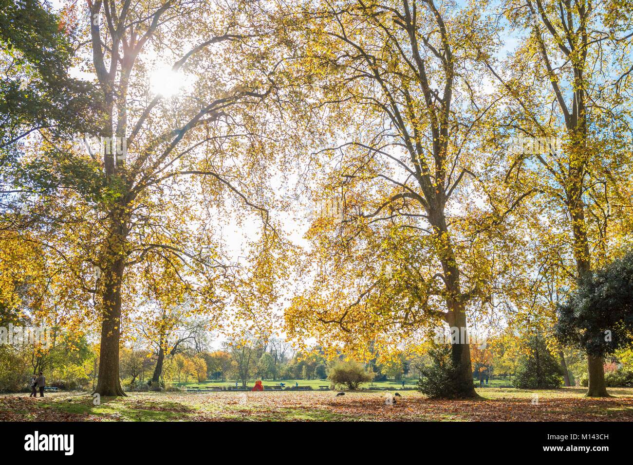 Francia, Parigi, Bois de Vincennes in autunno Foto Stock