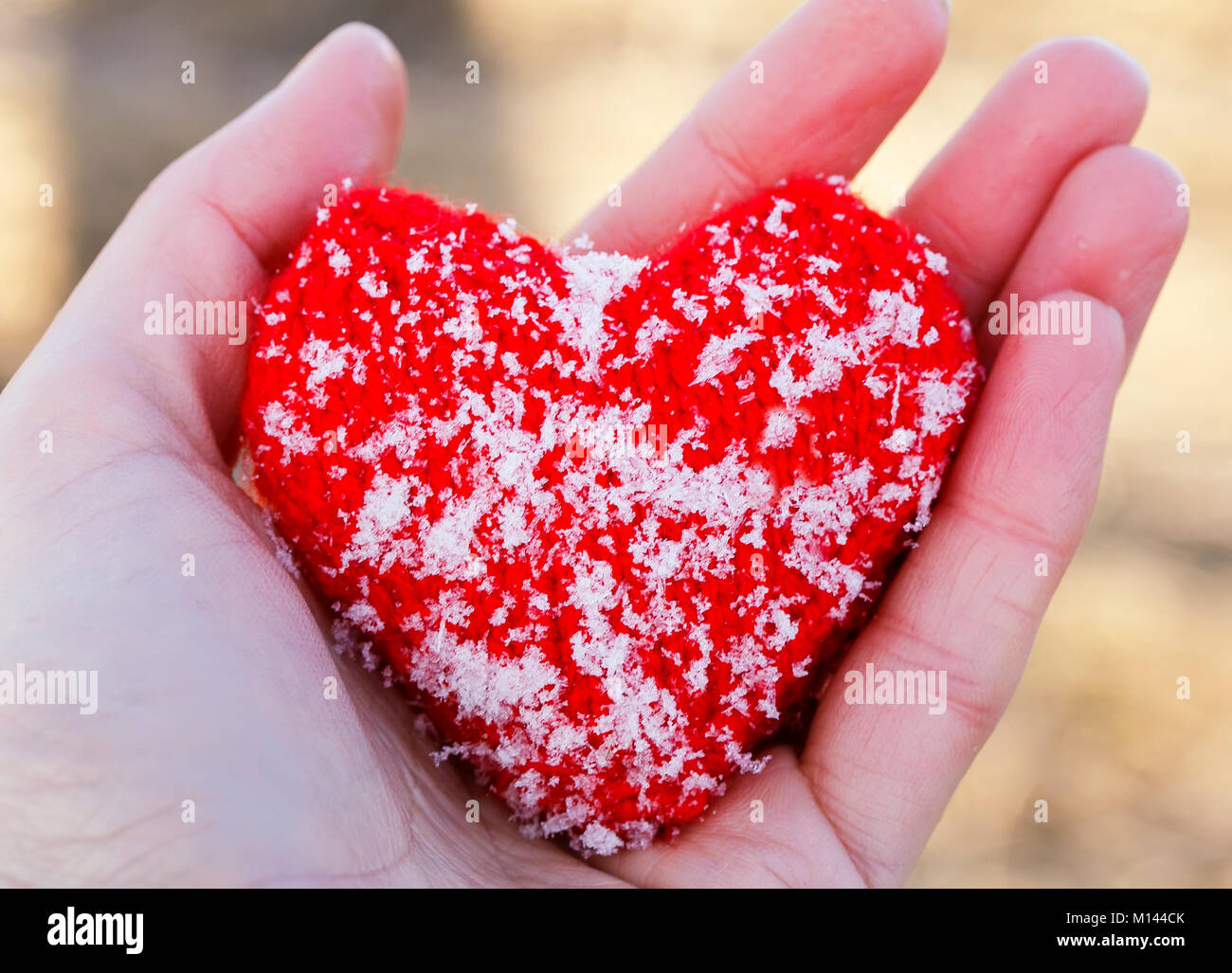 Maglia caldo cuore rosso e coperto con il freddo dei cristalli di ghiaccio si trova nel palmo della tua mano Foto stock Alamy