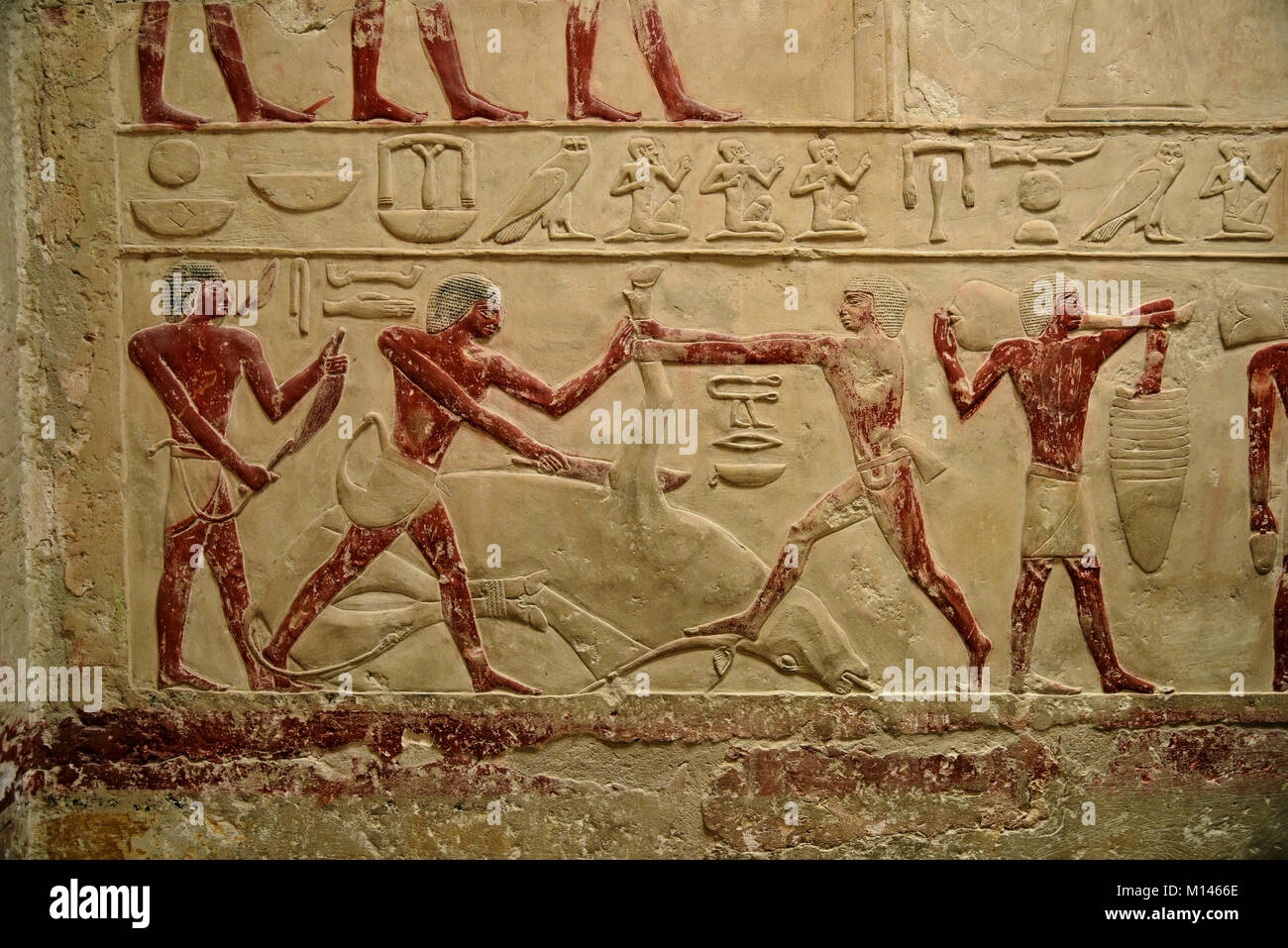 Antica geroglifico egizio pitture murali raffiguranti lo stile di vita e gli eventi, Giza in Egitto. Foto Stock