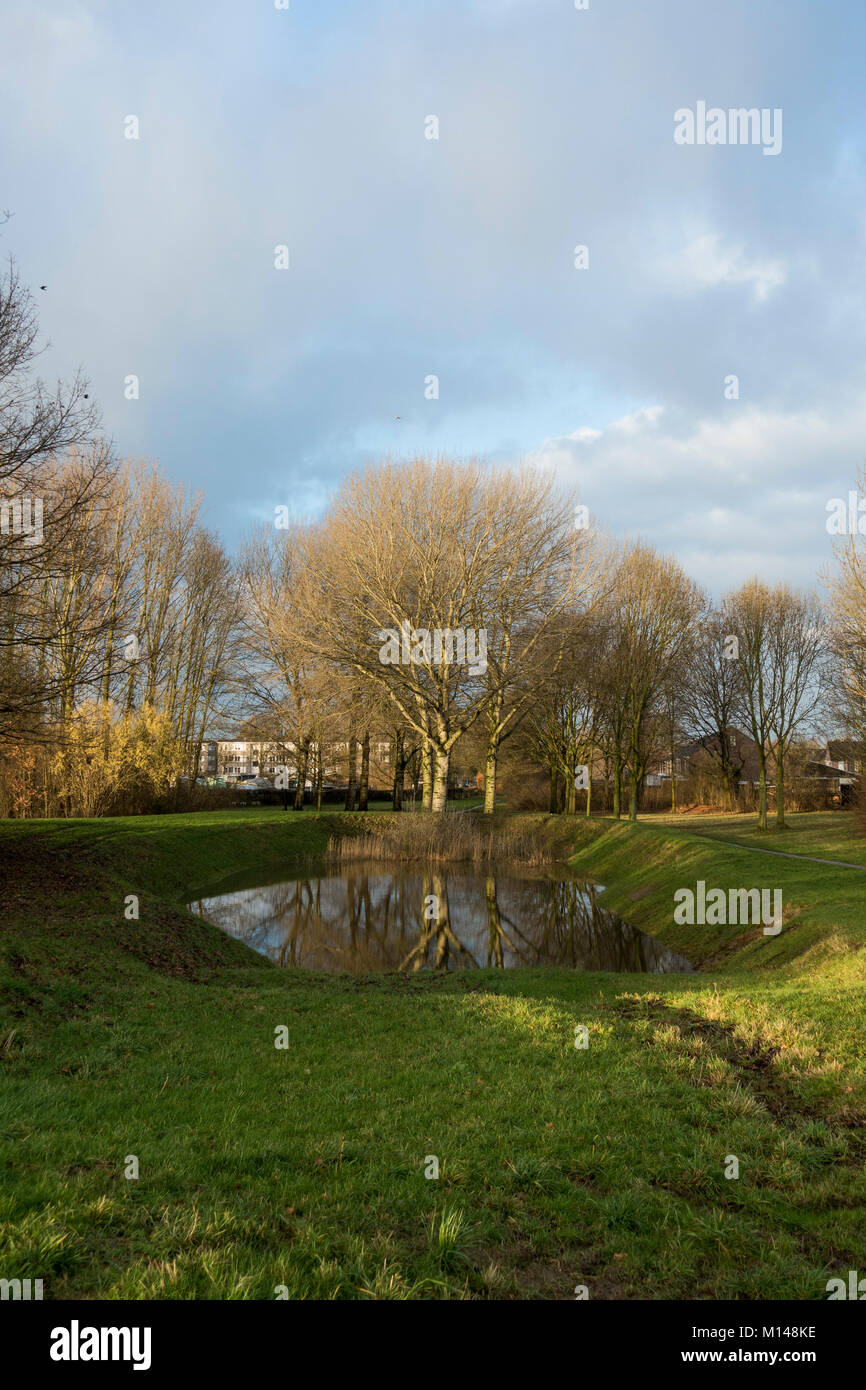 Paesaggio invernale park con le nuvole e il bacino di drenaggio vicino area urbana, area urbana, Limburgo, Paesi Bassi. Foto Stock