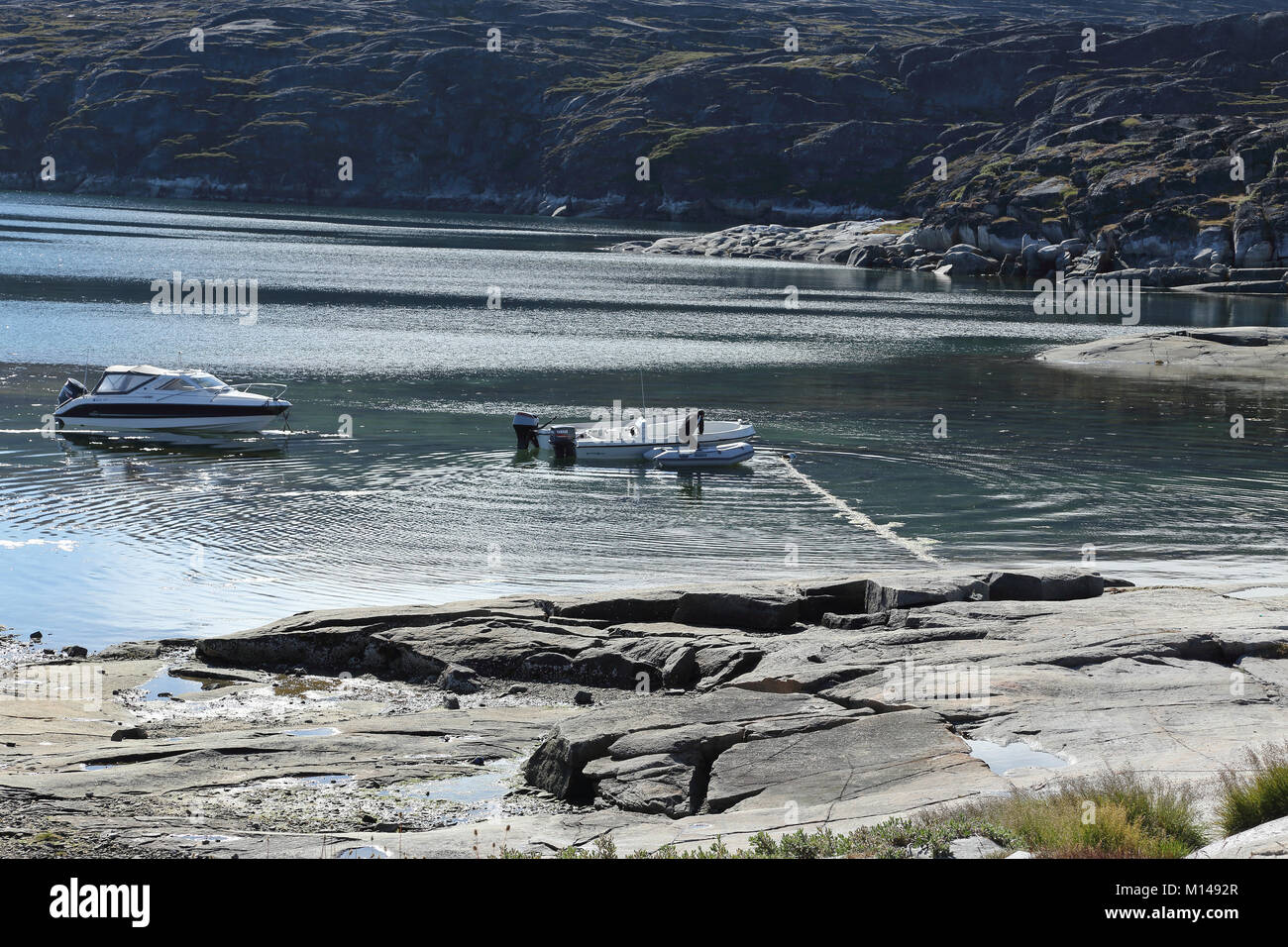 Paesaggio sulle rive della baia di Disko, Groenlandia occidentale Foto Stock