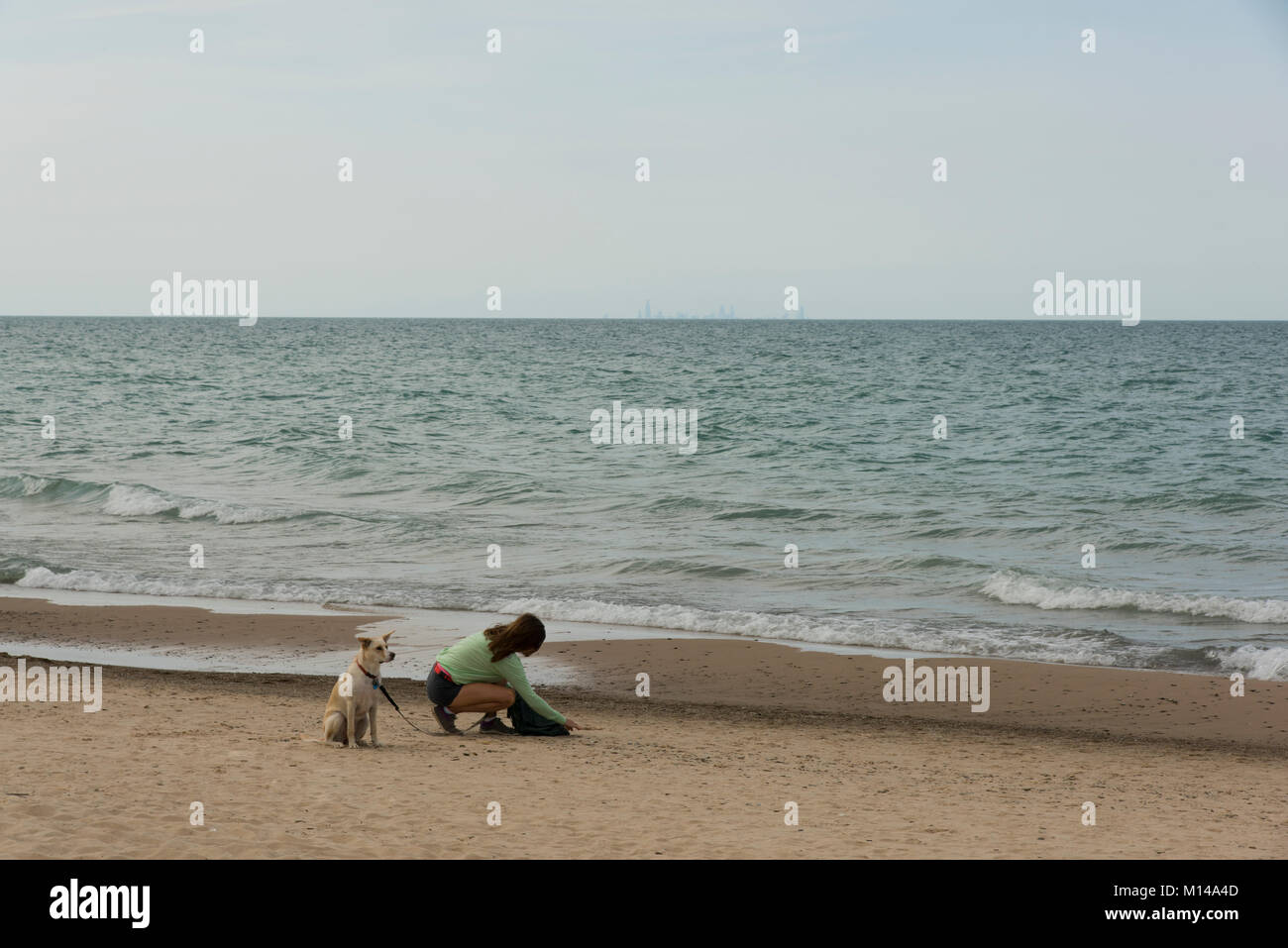 Una giovane donna e il suo cane organizzati sul lato sud del lago Michigan, all'Indiana Dunes State Park e National Lakeshore. Foto Stock