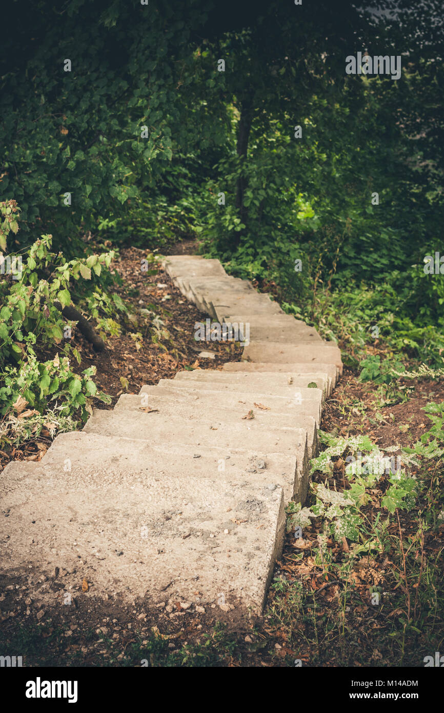 Stretta scalinata in pietra, scomparendo nelle profondità della foresta verso il basso. Foto Stock