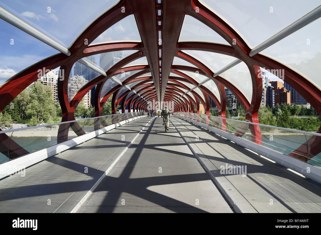 Ponte di Pace all'interno di Calgary, Alberta, Canada. Foto Stock