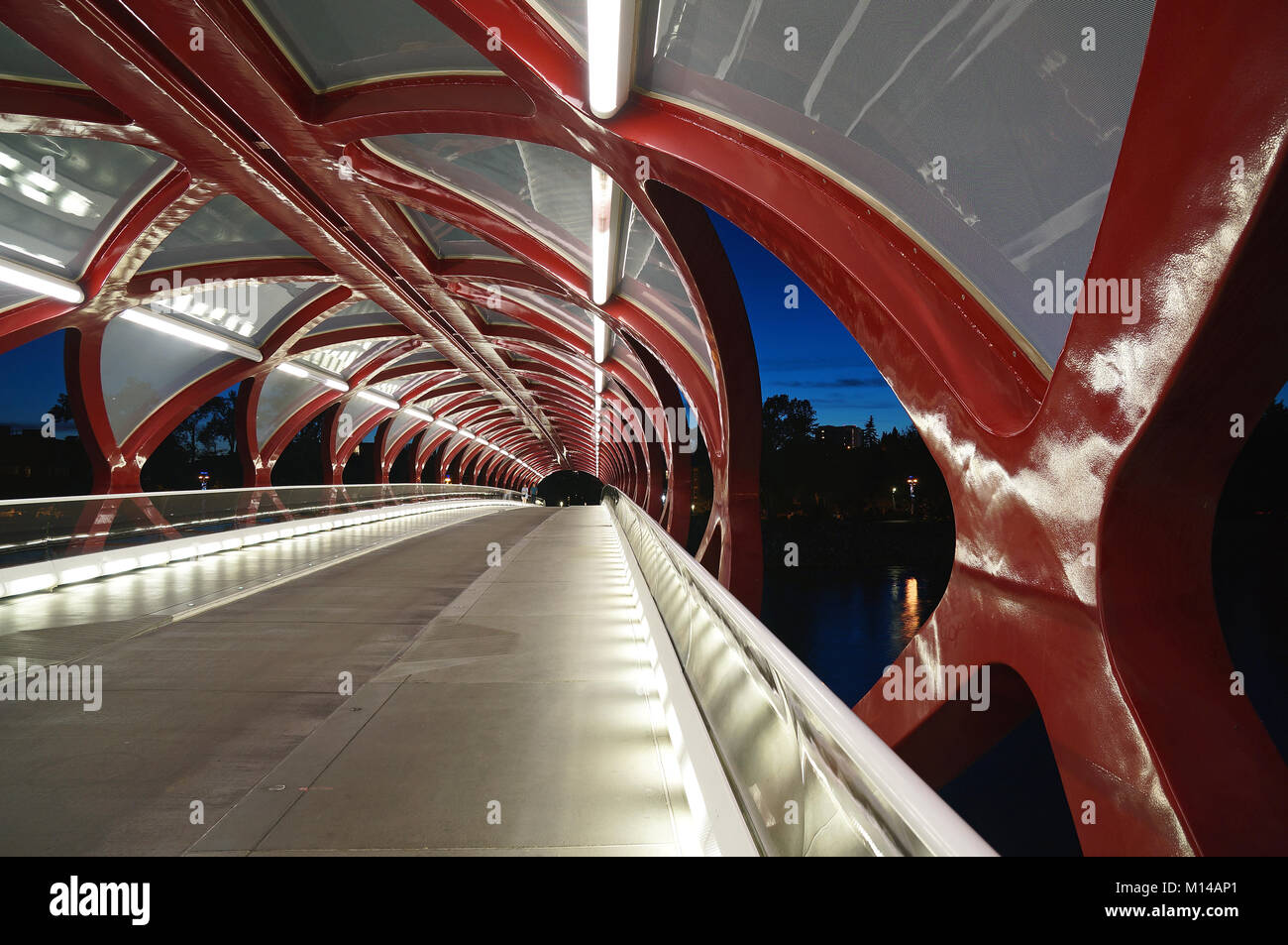 Ponte di Pace all'interno di Calgary, Alberta, Canada Foto Stock