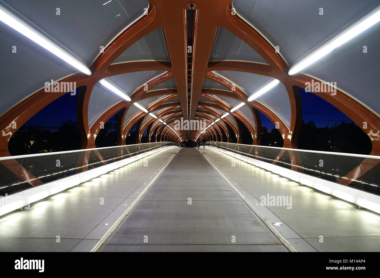 Ponte di Pace all'interno di Calgary, Alberta, Canada Foto Stock