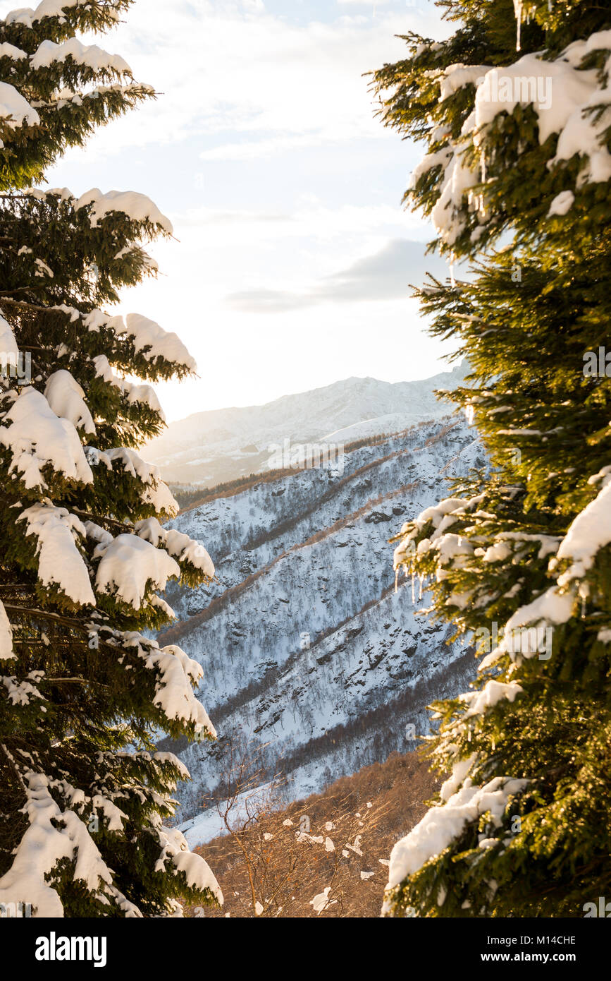 Scenic snowy mountain view con pini a sunrise tramonto nella soleggiata giornata invernale all'aperto. Foto Stock