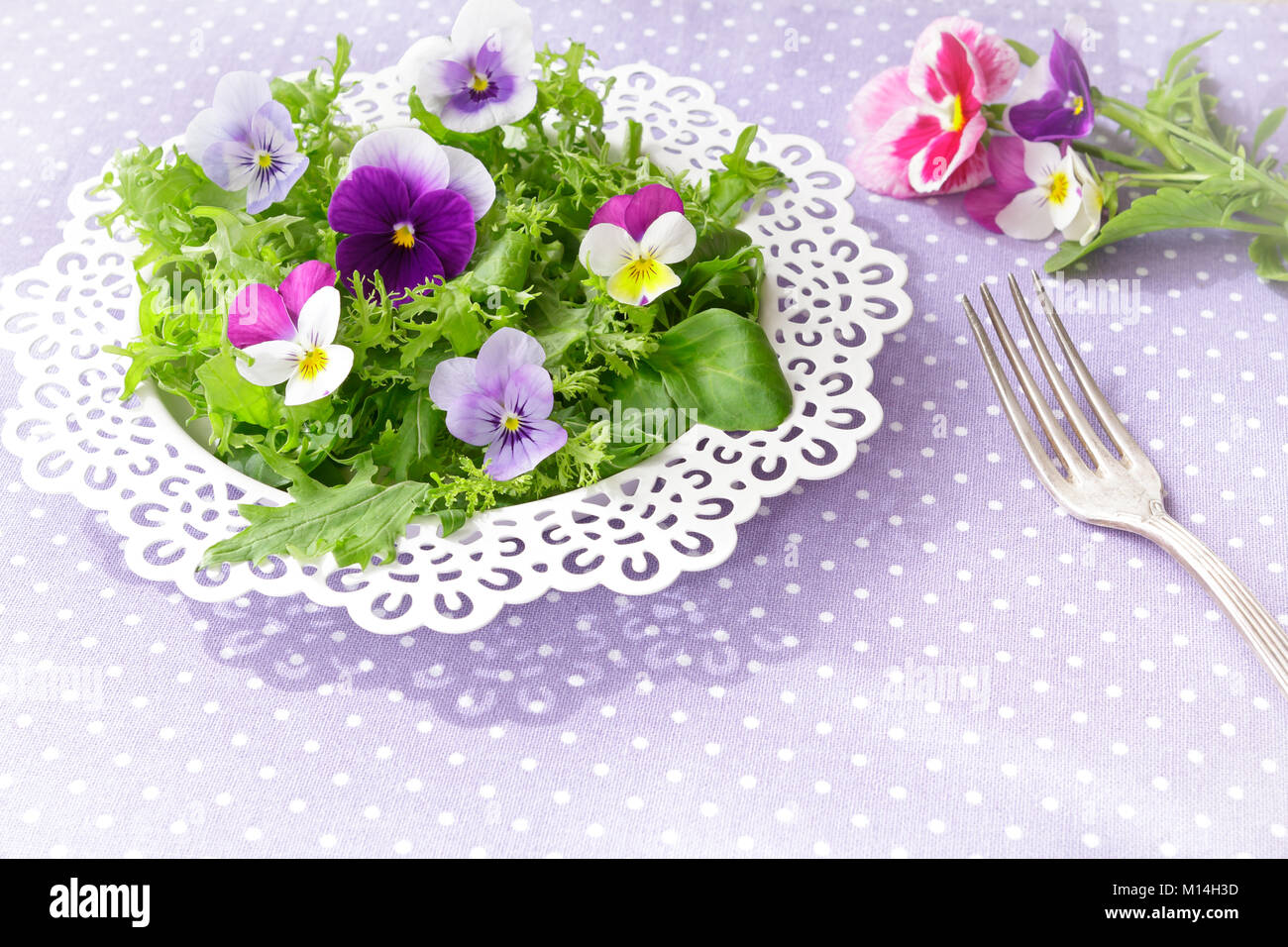 Piastra bianca con una insalata verde mista le foglie di lattuga e commestibile daisy e pansy fiori, insieme con una forcella di vintage su un nostalgico backgroun lilla Foto Stock