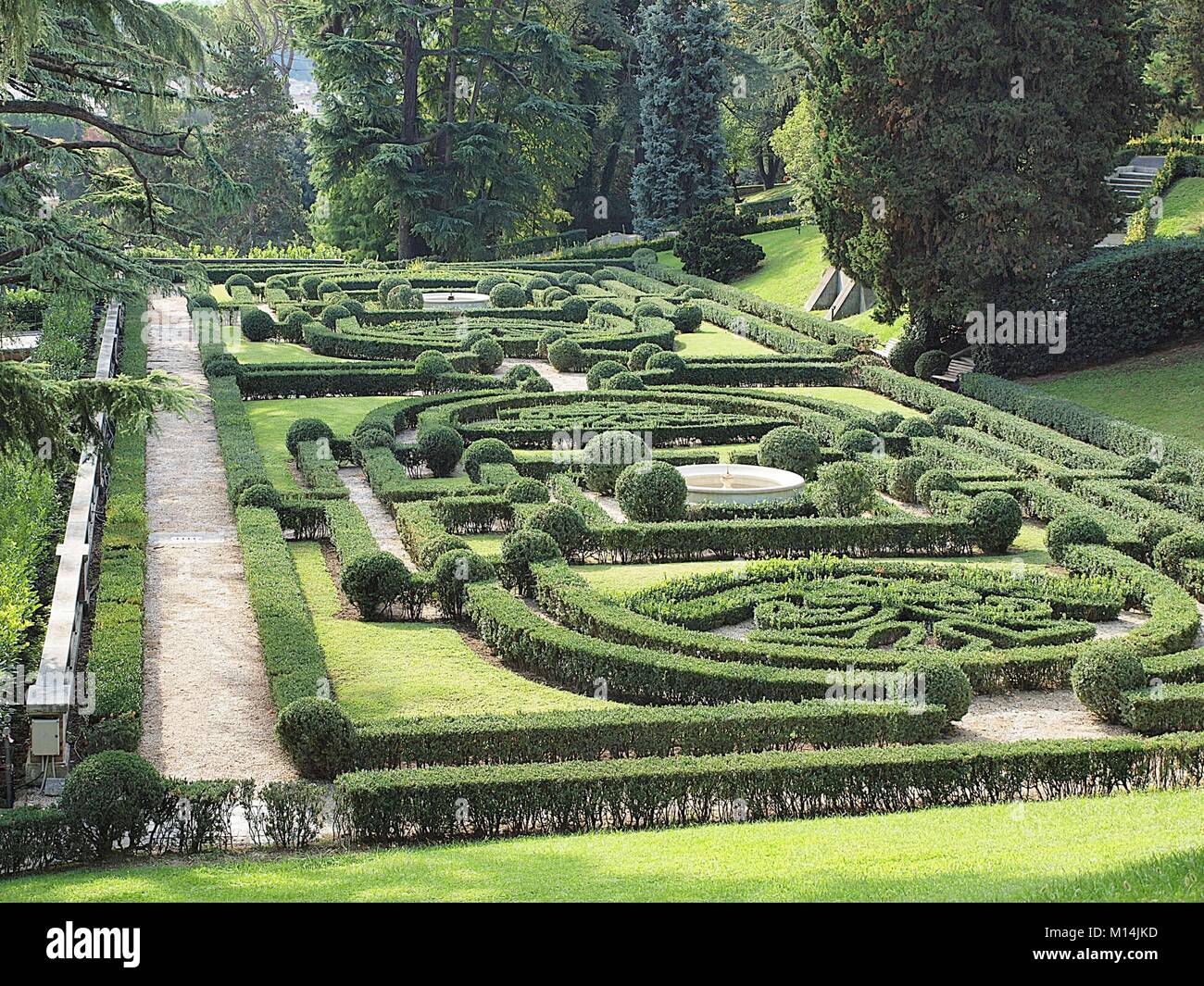 Bello schema impianto nei Giardini Vaticani di Roma Foto Stock