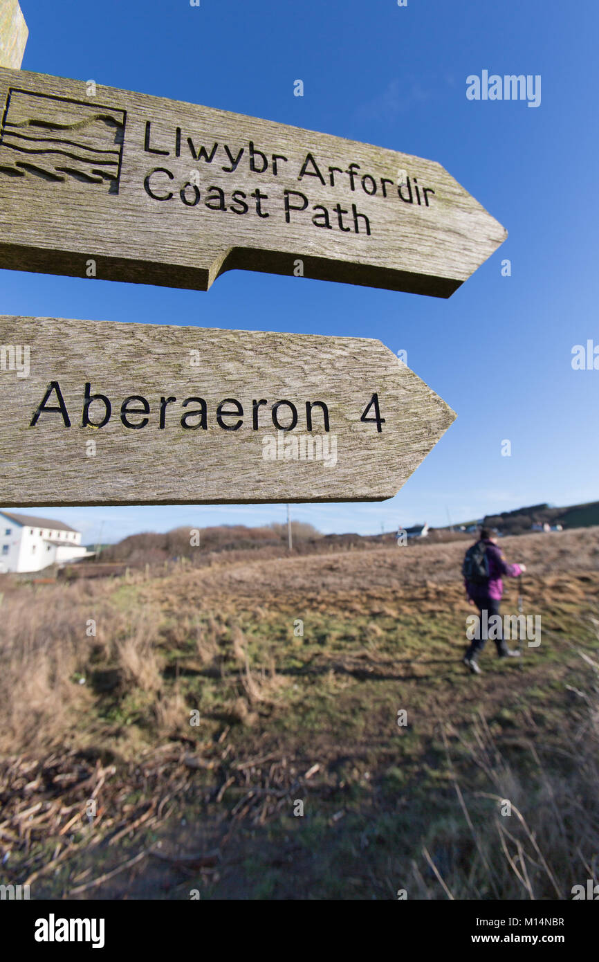 Il Galles e Ceredigion Coast Path. Una femmina di walker su un Galles e Ceredigion costa itinerario percorso, tra i villaggi di Llanon Aberarth e. Foto Stock