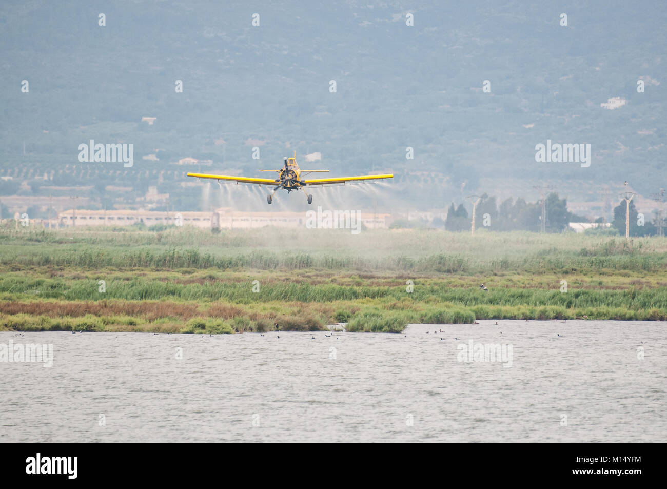 Piano giallo (aria trattore A-501) usato per fumigare, per la piaga della lumaca di Apple (pomacea insularum), il delta del fiume Ebro, Tarragona Catalogna Foto Stock