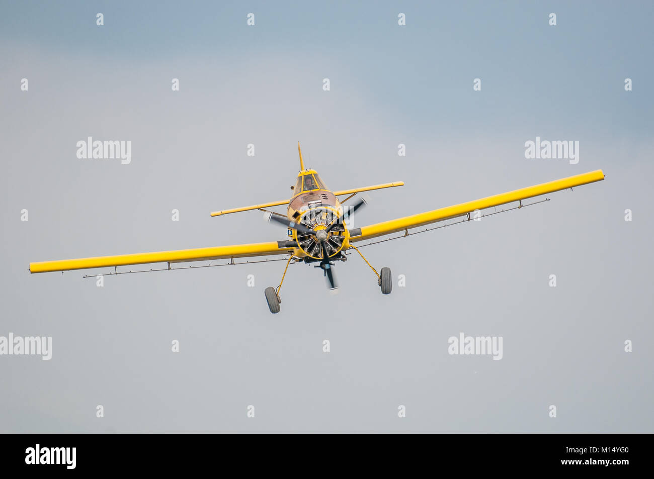 Piano giallo (aria trattore A-501) usato per fumigare, per la piaga della lumaca di Apple (pomacea insularum), il delta del fiume Ebro, Tarragona Catalogna Foto Stock