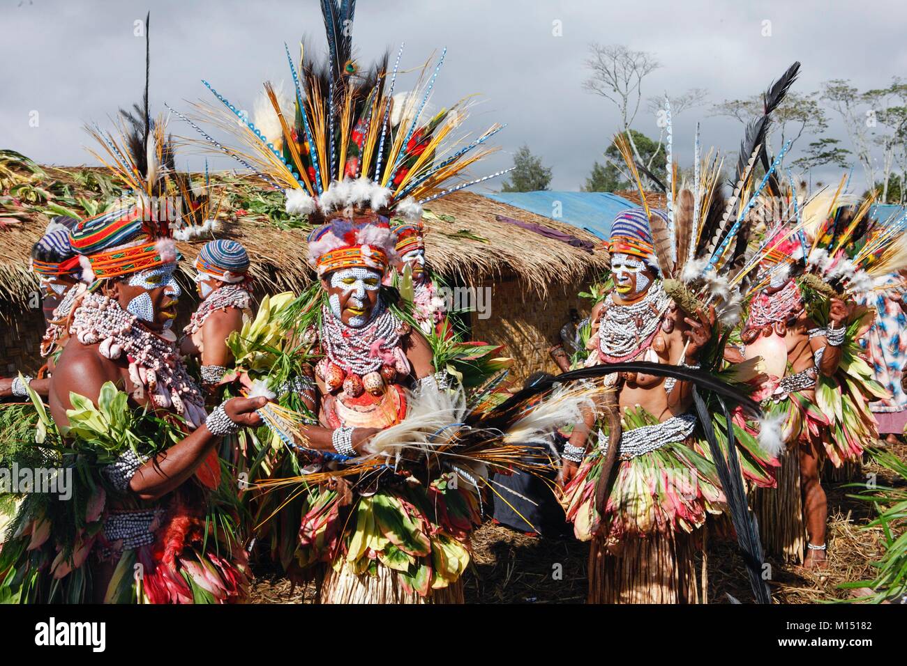 Papua Nuova Guinea, Western Highland gli uomini a Mount Hagen sing-sing, copricapo di piume di pappagallo, Eagle e degli uccelli del paradiso, i gusci sono stati scambiati sulla costa Foto Stock