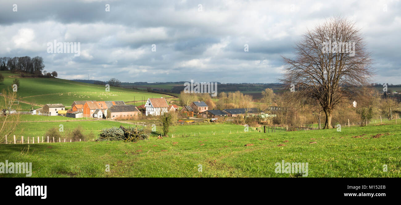 Tipica campagna olandese Zuid Limburg, con colline di Limburgo meridionale, vicino Wijlre e il fiume De Geul, Paesi Bassi, Europa Foto Stock