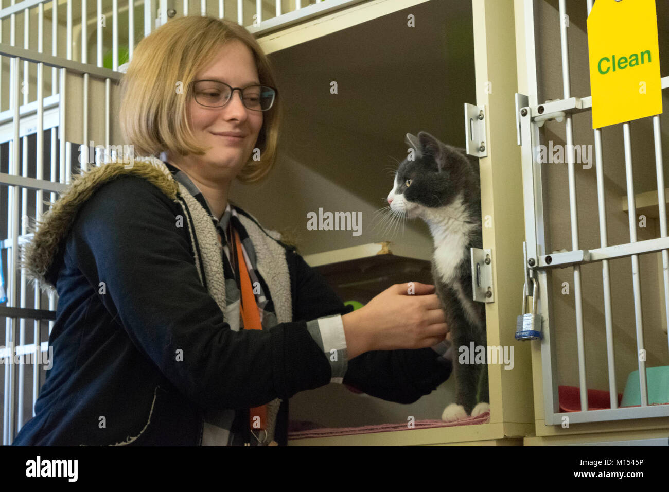 Un volontario presso il rifugio degli animali Animali domestici un cucciolo che è alto per l'adozione. Foto Stock