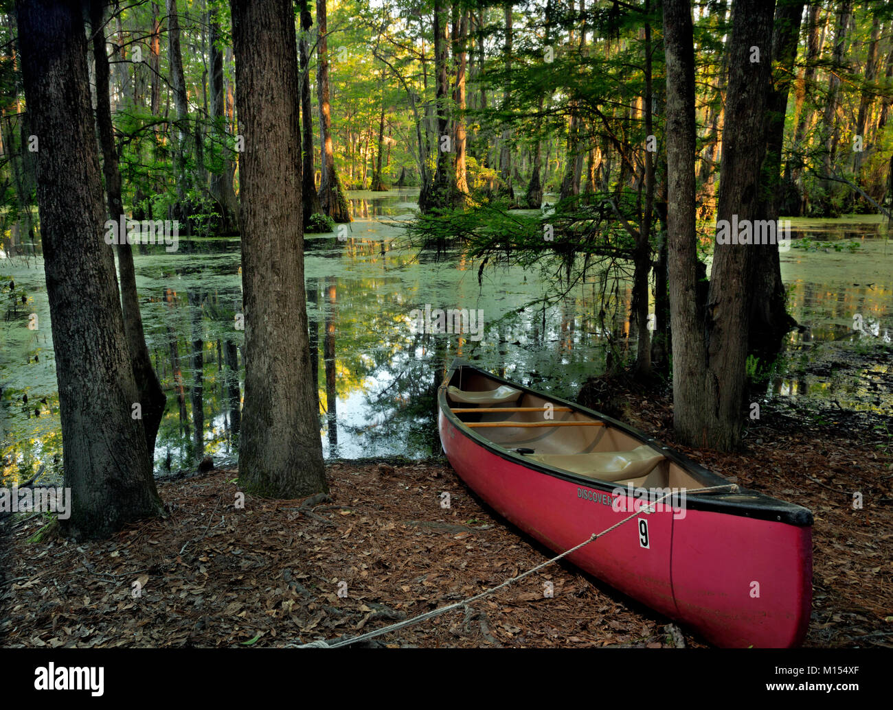 NC01473-00...CAROLINA DEL NORD- una canoa legata a un campeggio backcountry lungo le rive di Merchant Gora; a Merchant Gora parco dello stato. Foto Stock