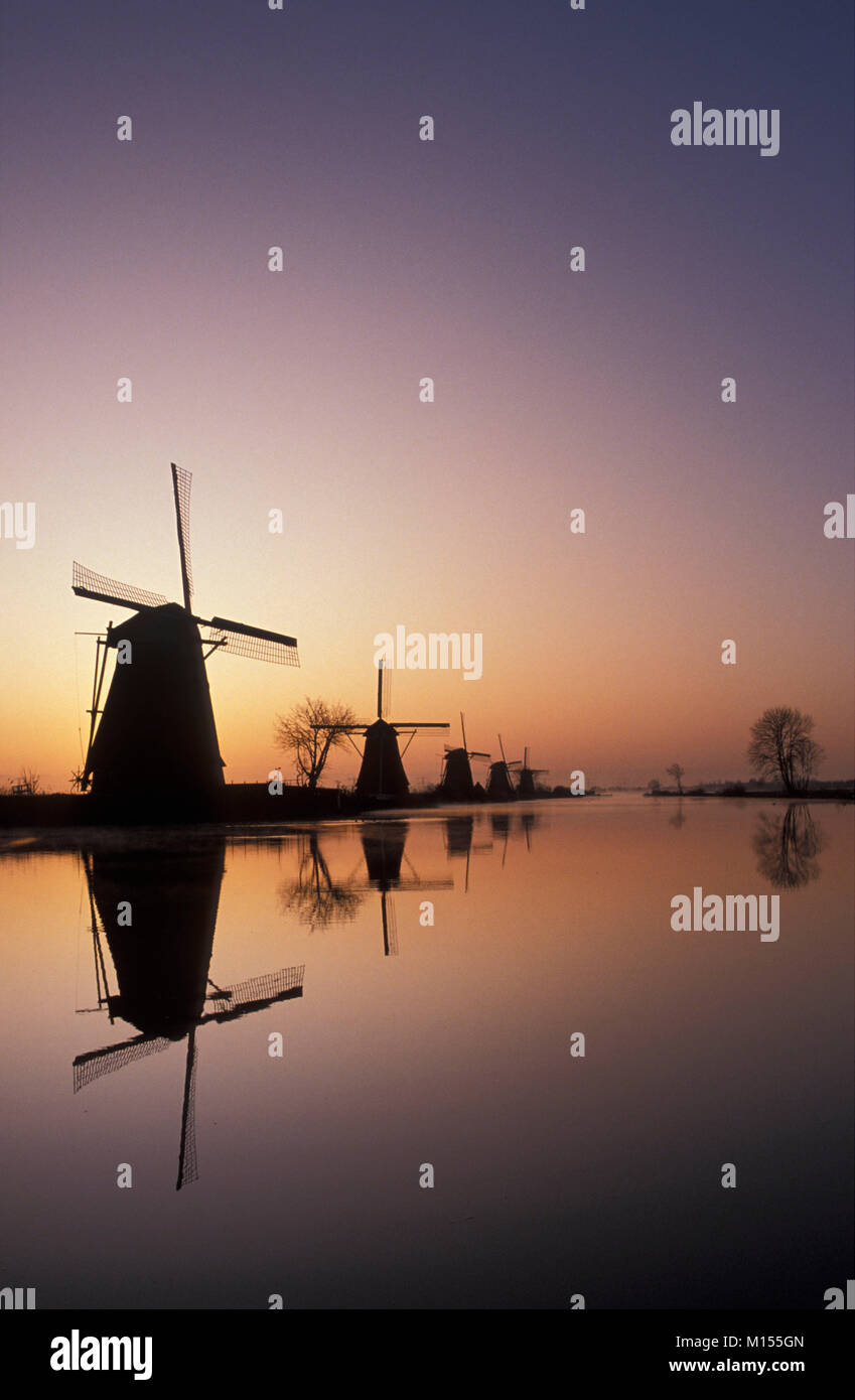 I Paesi Bassi, Alblasserdam, Kinderdijk, mulini a vento, Sito Patrimonio Mondiale dell'Unesco. Sunrise. Foto Stock