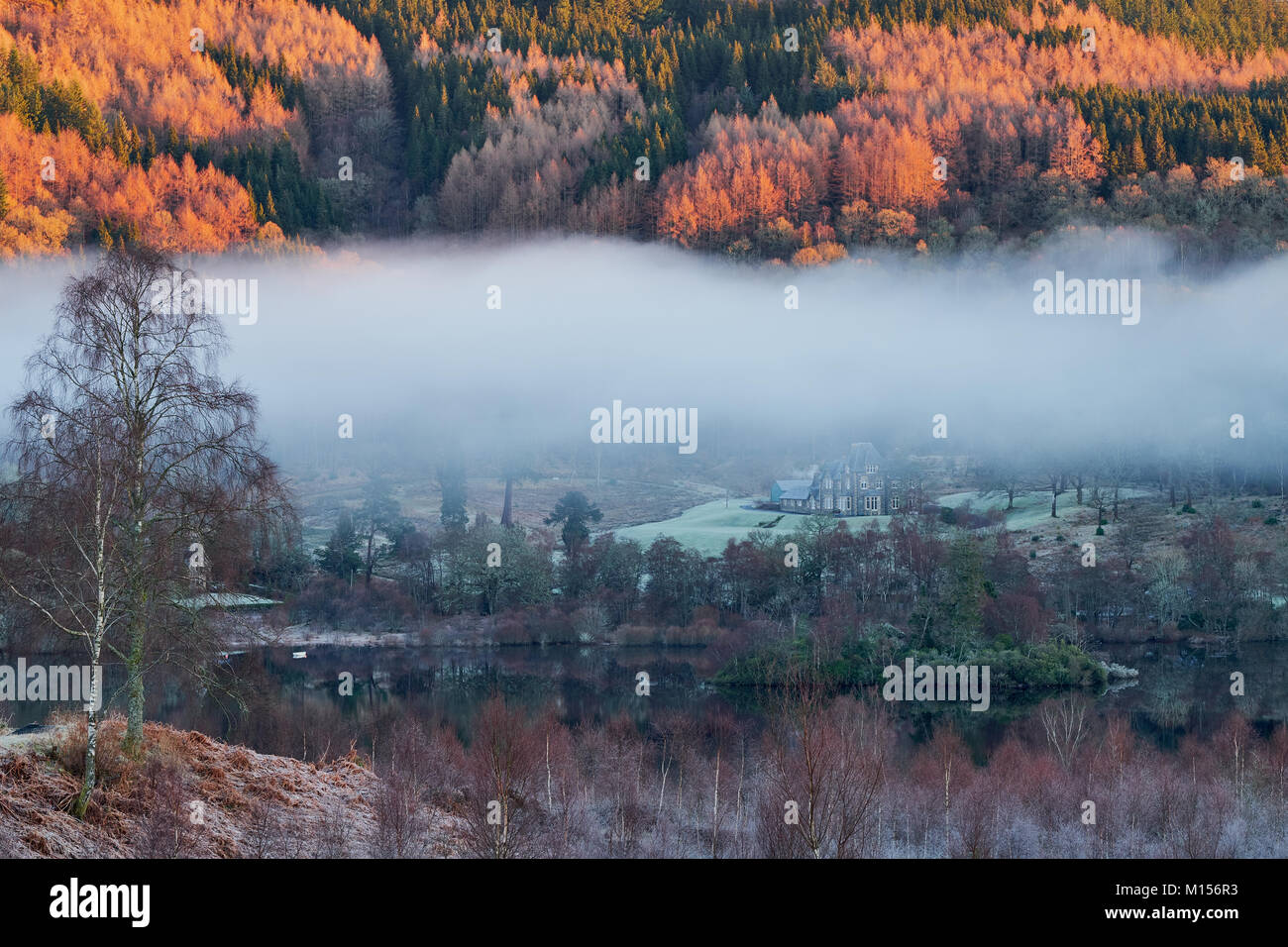 Incredibile paesaggio autunnale con foggy Alberi di fronte .Tigh Mor Trossachs, parte dell'Holiday Property Bond, Loch Achray, S Foto Stock