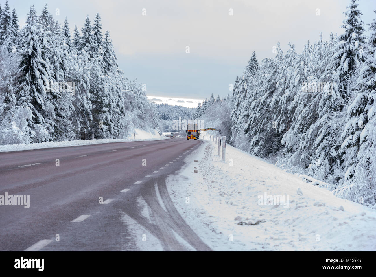 Lavoratore di strada bloccando la strada quando tagliando gli alberi con una macchina Foto Stock