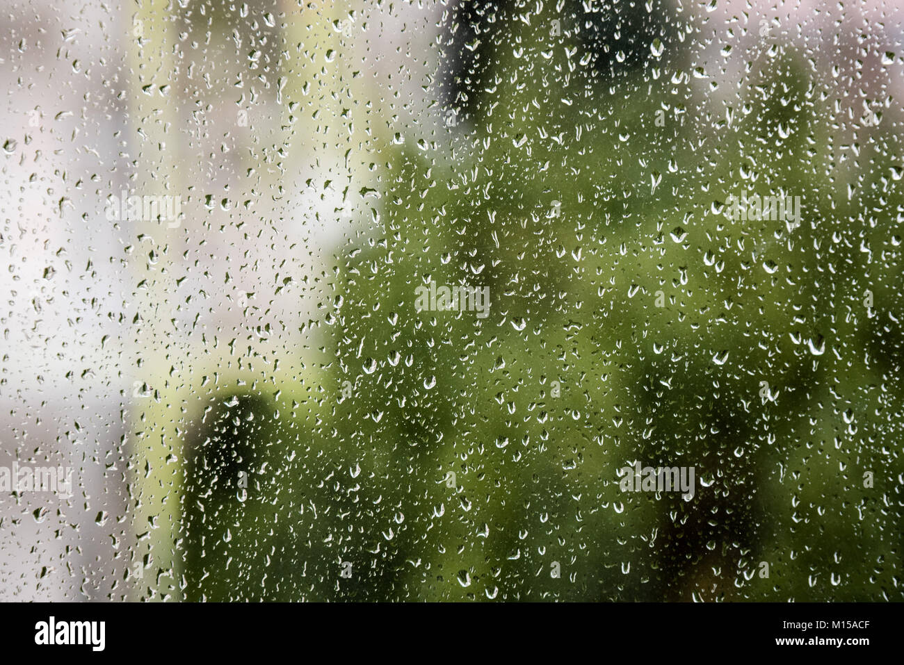 Gocce di pioggia su un vetro di finestra con un background di messa a fuoco Foto Stock