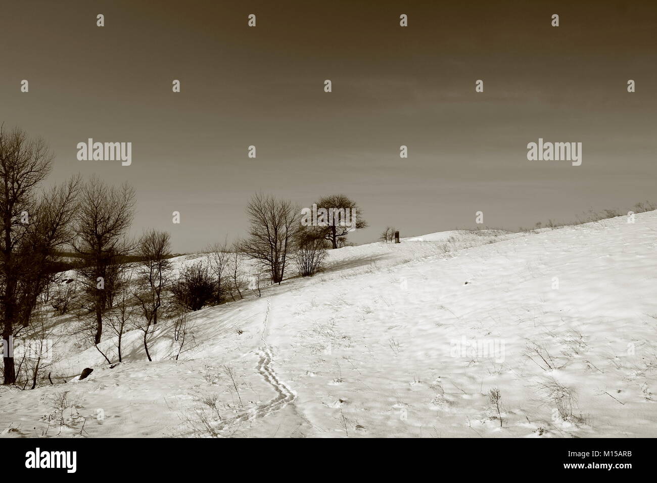 Favola invernale sull'isola Khortitsa in Ucraina. Foto Stock