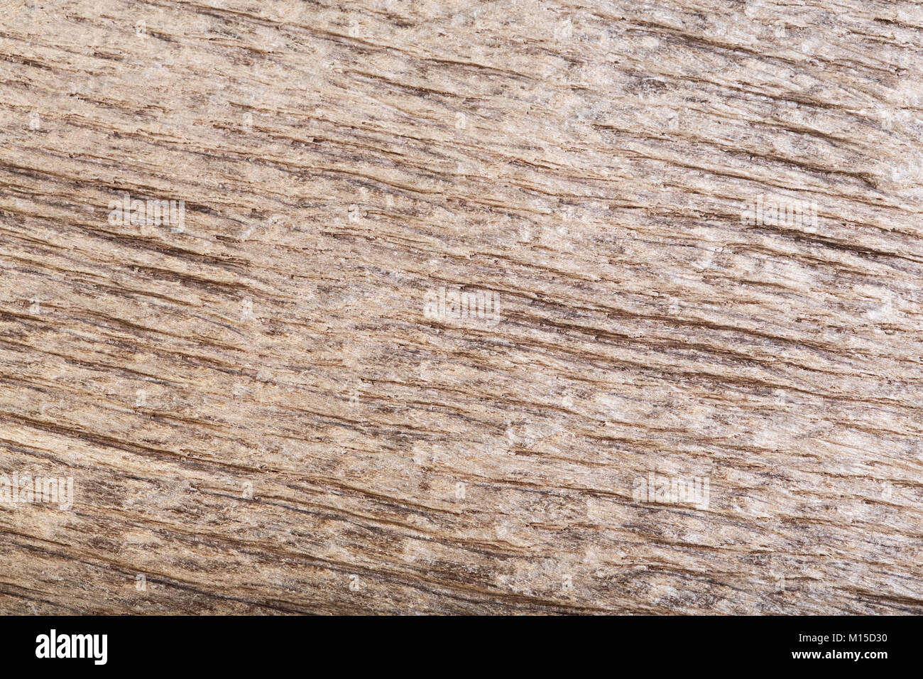 Graffiato naturale scuro legno vecchio bog oak texture come sfondo. Foto Stock