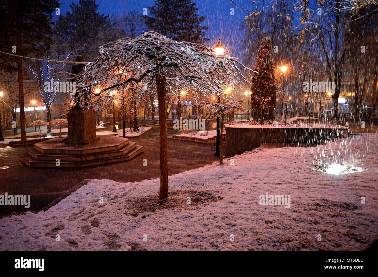 City Park in inverno Foto Stock