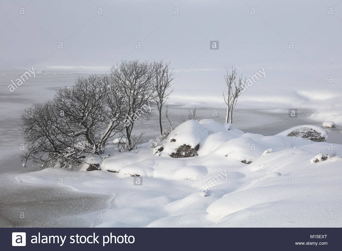 Una coperta di neve Rannoch Moor guardando sopra un congelati Lochan na h-achlaise Foto Stock
