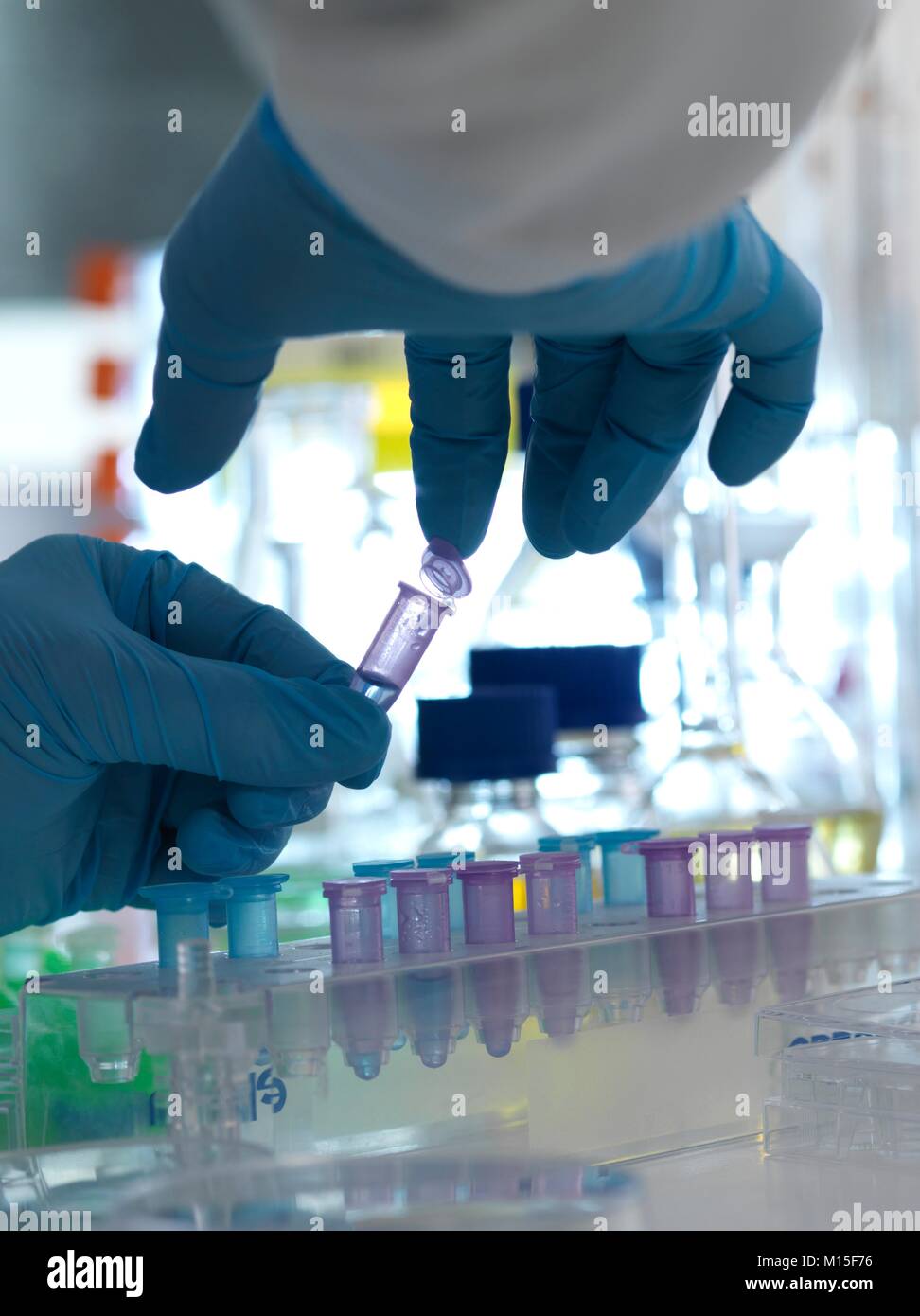 Modello rilasciato. La ricerca biomedica. Scienziato chiude il coperchio di una fiala pronto per i test in un laboratorio. Foto Stock