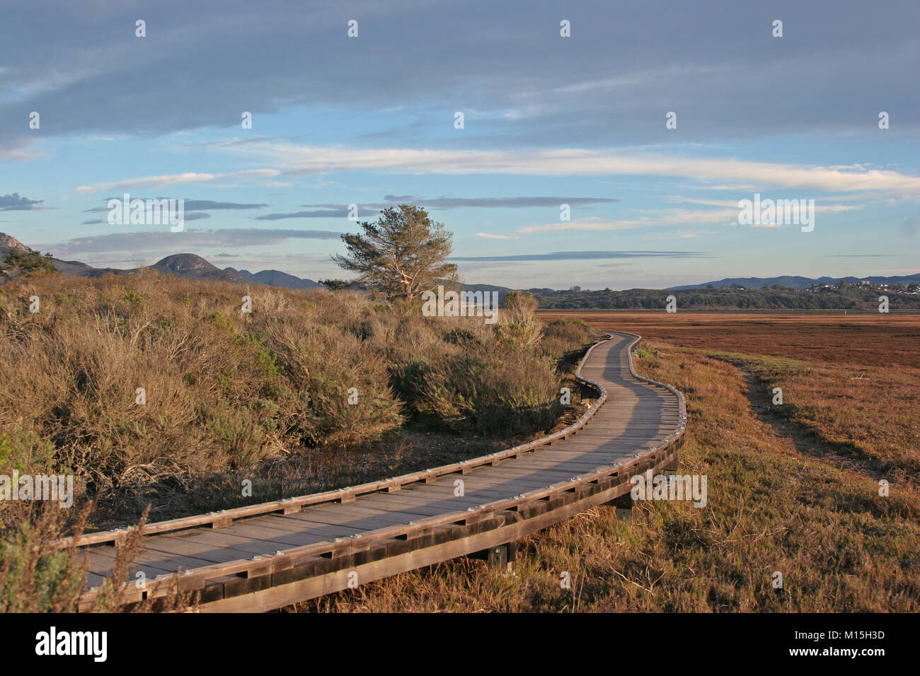 Morro Bay estuario del percorso a piedi, San Luis Obispo County CA Foto Stock