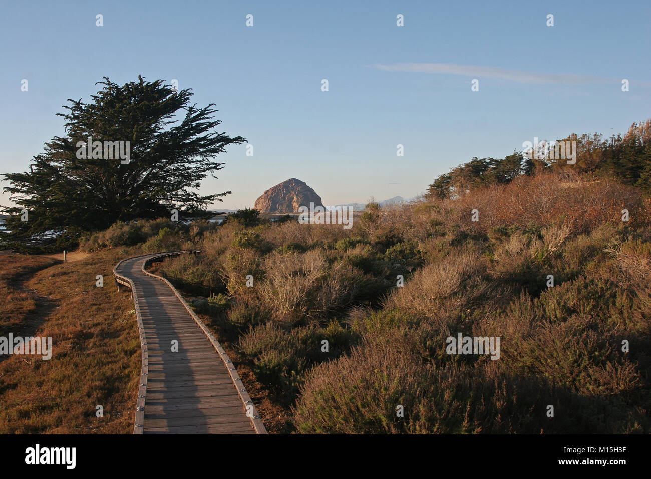 Morro Bay estuario del percorso a piedi, San Luis Obispo County CA Foto Stock