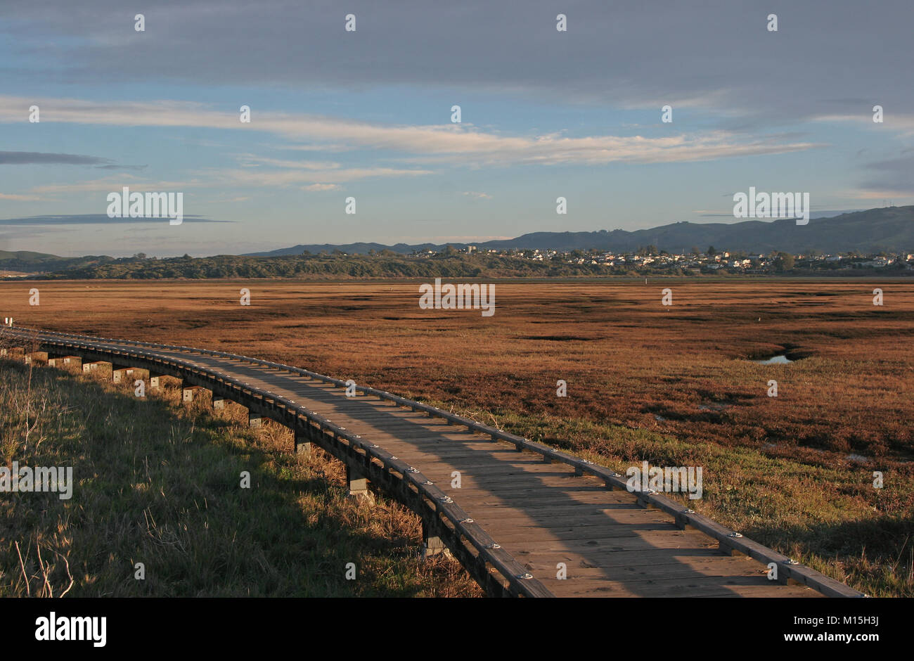 Morro Bay estuario del percorso a piedi, San Luis Obispo County CA Foto Stock