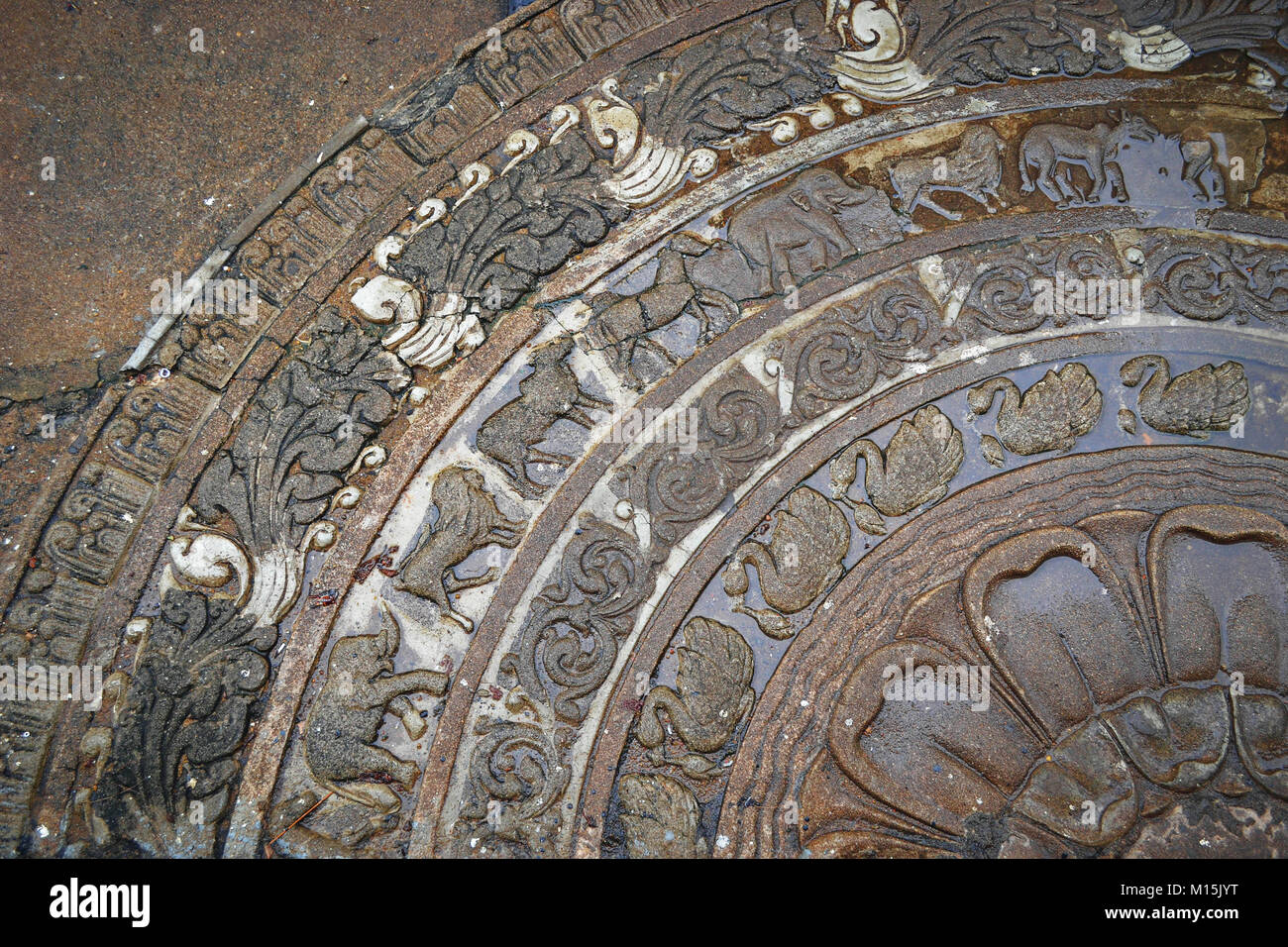 Sandakada massa Pahana carving. La pietra di luna rilievo raffigurante il ciclo di sansara, Sri Lanka. Foto Stock