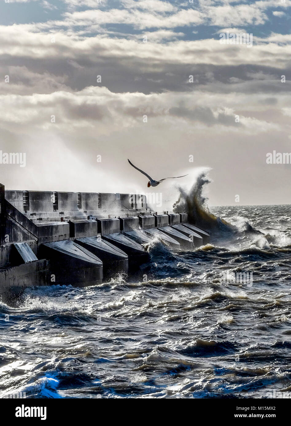 Drammatica mare tempestoso contro rottura brighton marina nero parete del porto, spray e le onde alte in aria, mare mosso e un solitario seagull cercando di s Foto Stock