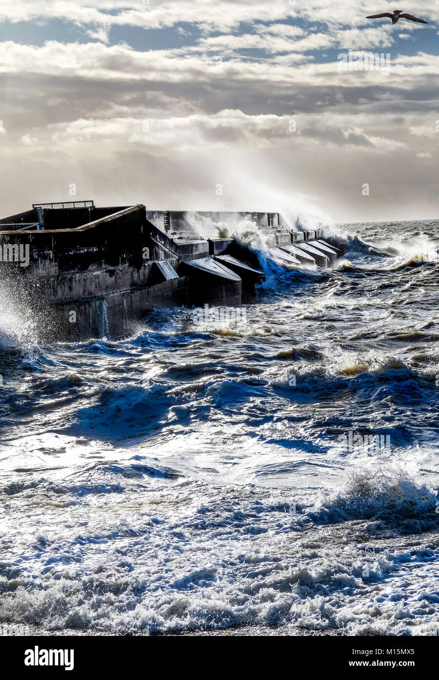 Drammatica mare tempestoso contro rottura brighton marina nero parete del porto, spray e le onde alte in aria, mare mosso e un solitario seagull cercando di s Foto Stock