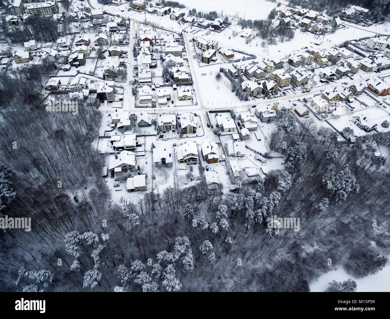 Antenna vista superiore della foresta e case unifamiliari in inverno Foto Stock
