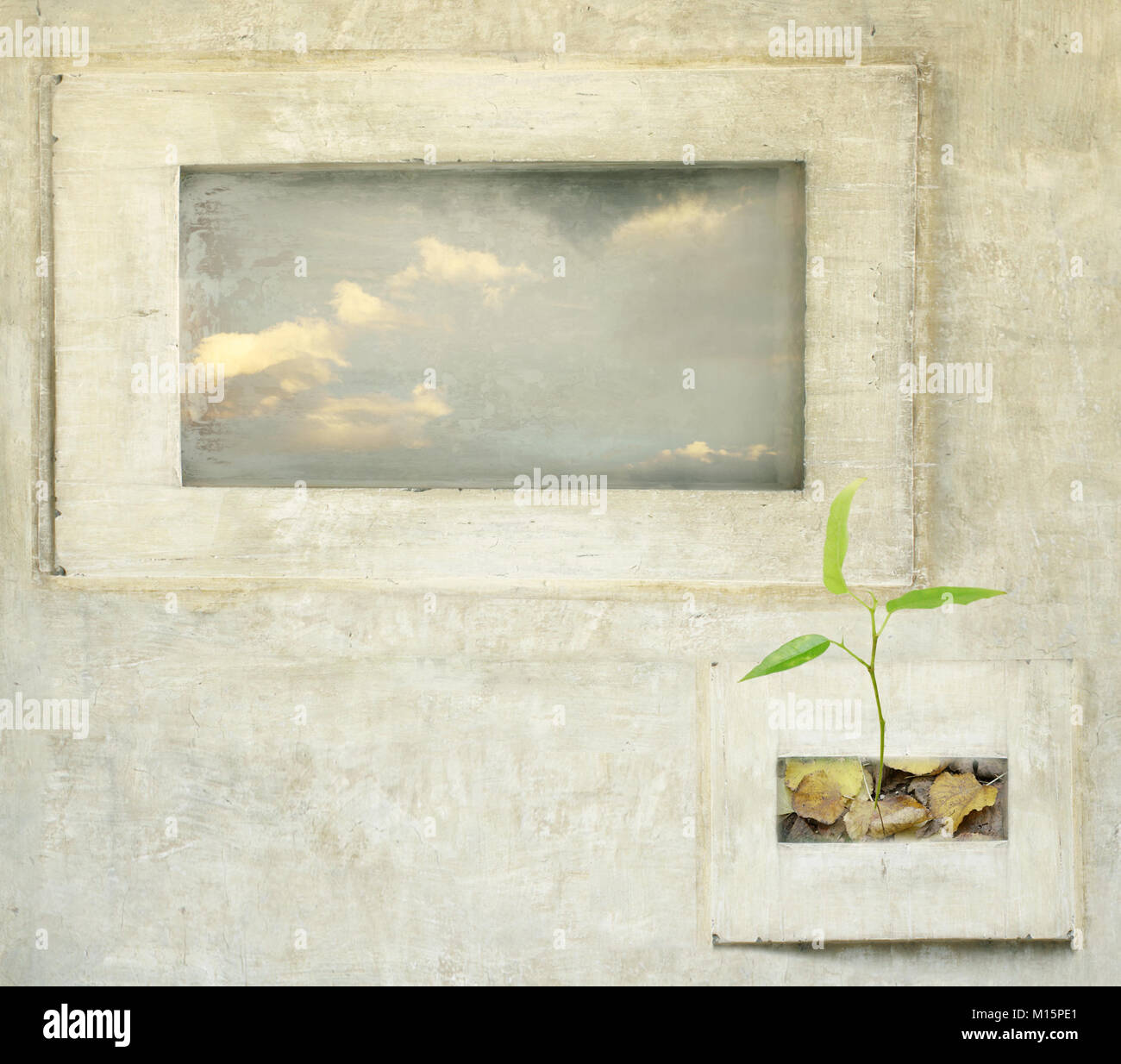 Due finestra surreale con sky e foglie di piante Foto Stock