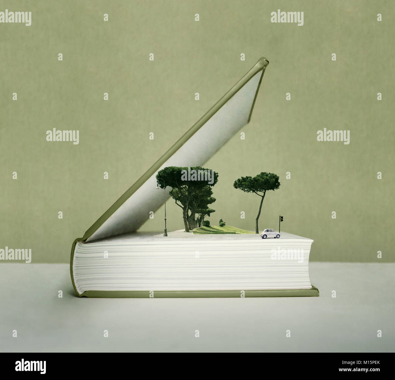 Fantasia artistica libro aperto con il pop up effetto con alberi, auto, al campo e al semaforo Foto Stock