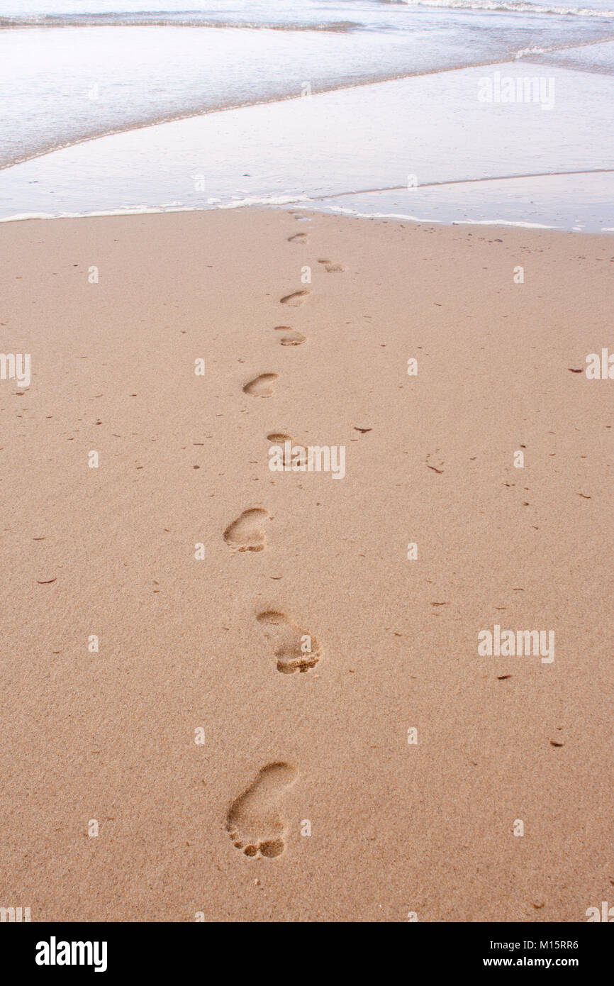 Orme nella sabbia proveniente dall'Oceano Atlantico al capo del prato Beach, Cape Cod Foto Stock