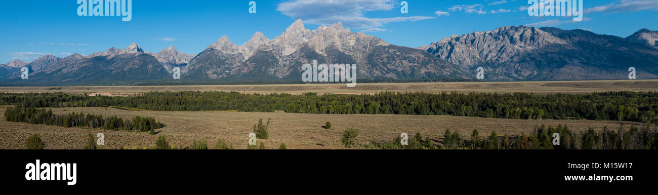 Vista del Teton Mountains da Teton punto affluenza alle urne. Alci, Wyoming USA Foto Stock
