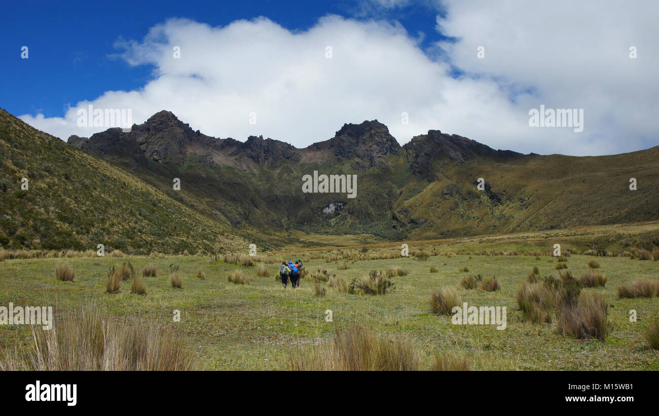 Gruppo di escursionisti a piedi nel centro della valle in direzione del vulcano Ruminahui all'interno del Parco Nazionale di Cotopaxi - Ecuador Foto Stock