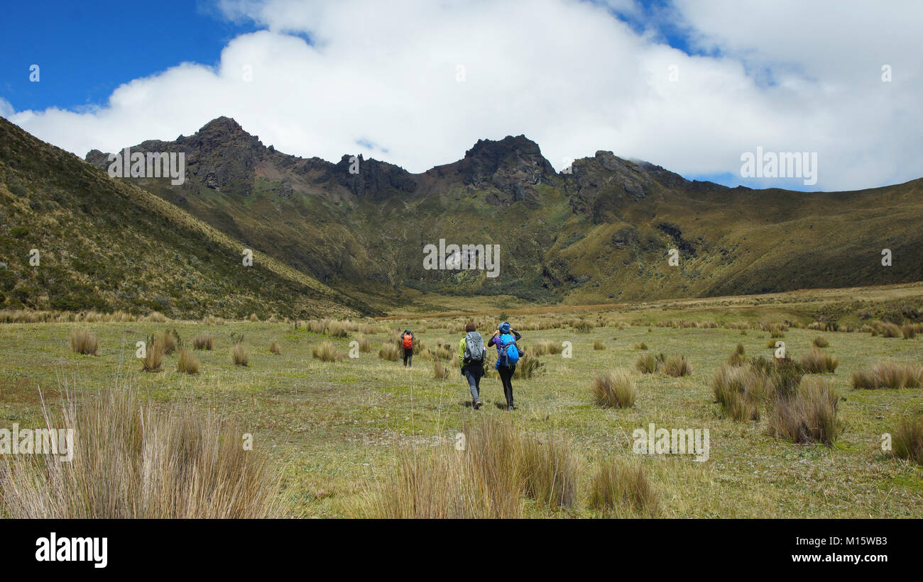 Gruppo di escursionisti a piedi nel centro della valle in direzione del vulcano Ruminahui all'interno del Parco Nazionale di Cotopaxi - Ecuador Foto Stock