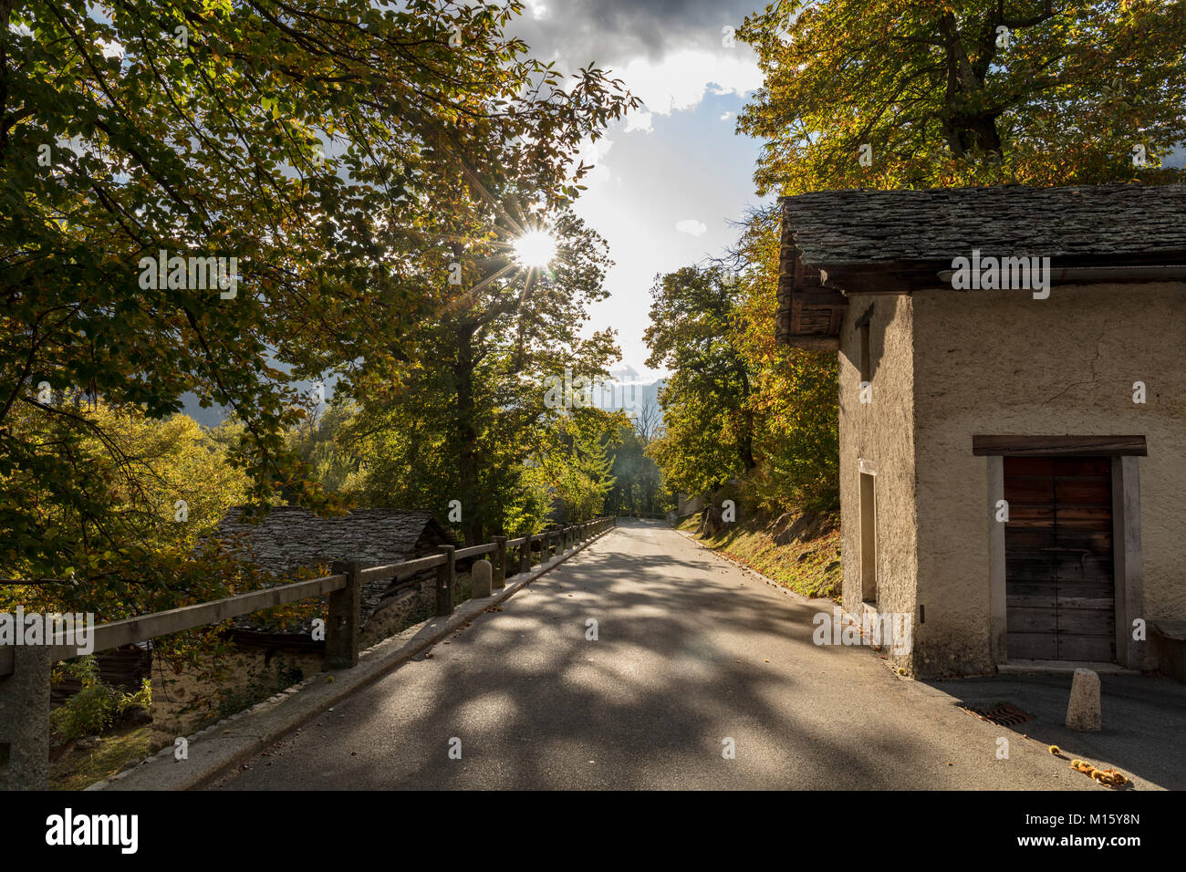 Strada attraverso il bosco di castagni,case di asciugatura per le castagne,Bregaglia,Grigioni,Svizzera Foto Stock