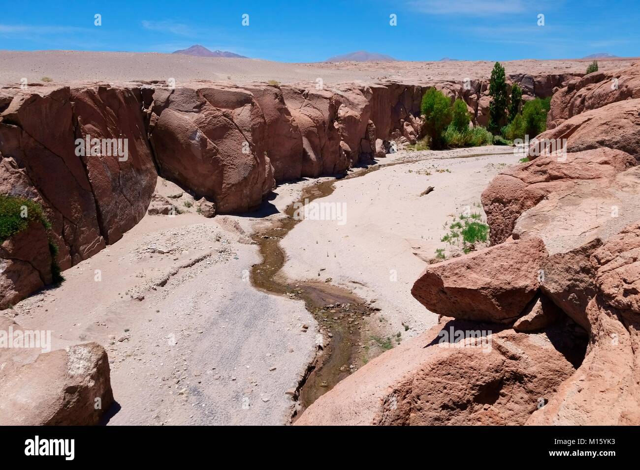 Il letto del fiume con poca vegetazione verde,Valle de Jere,Toconao,Región de Antofagasta, Cile Foto Stock