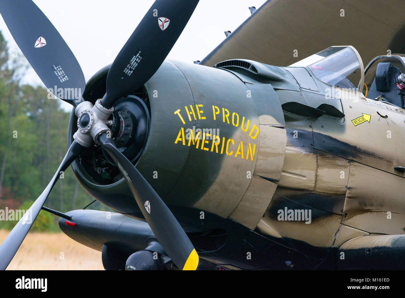 A-1 Skyraider in corrispondenza di un'esibizione aerea all'Heritage Flight Museum, Skagit aeroporto regionale, Burlington, Washington, Stati Uniti d'America Foto Stock