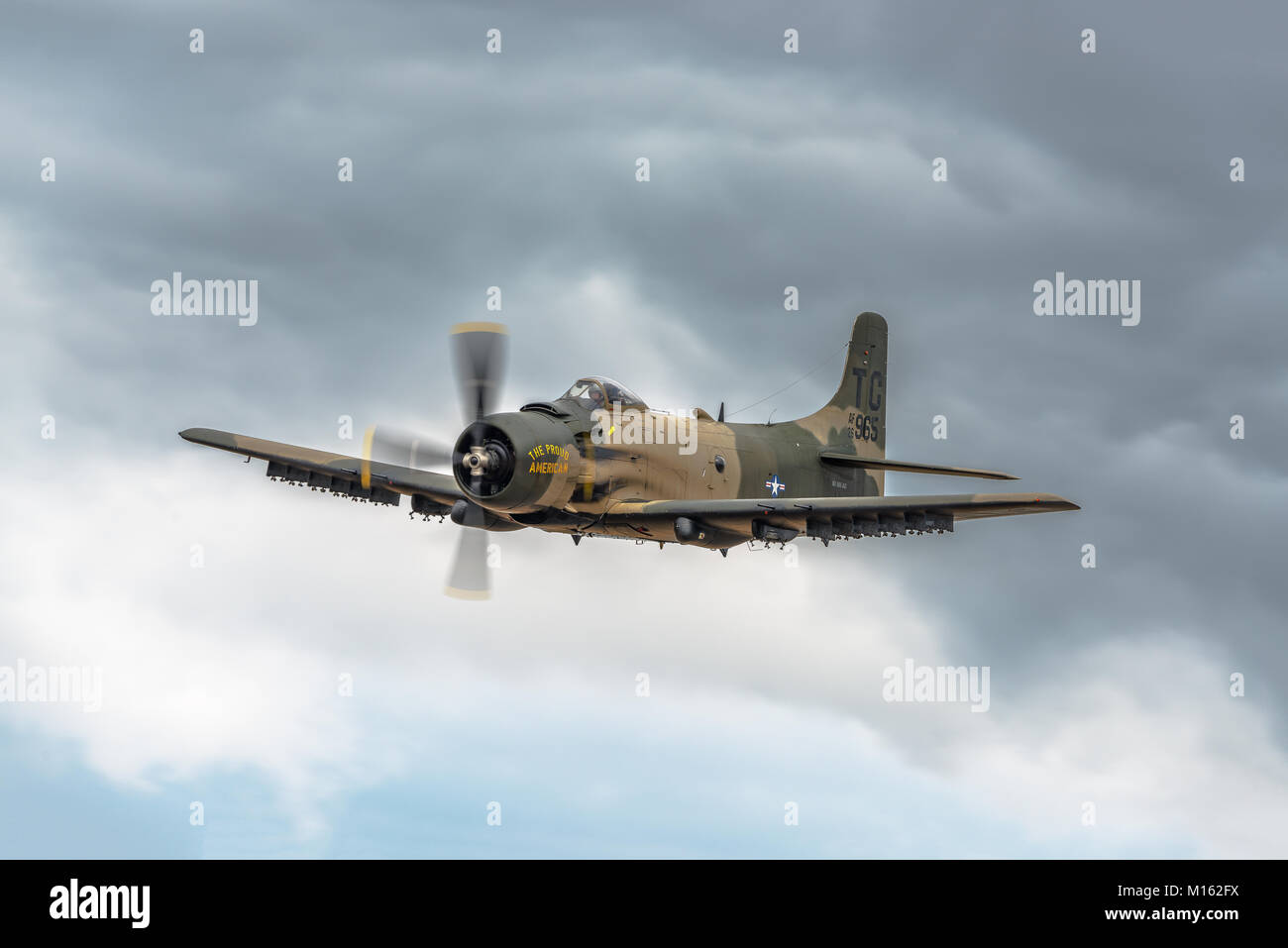 A-1 Skyraider in corrispondenza di un'esibizione aerea all'Heritage Flight Museum, Skagit aeroporto regionale, Burlington, Washington, Stati Uniti d'America Foto Stock