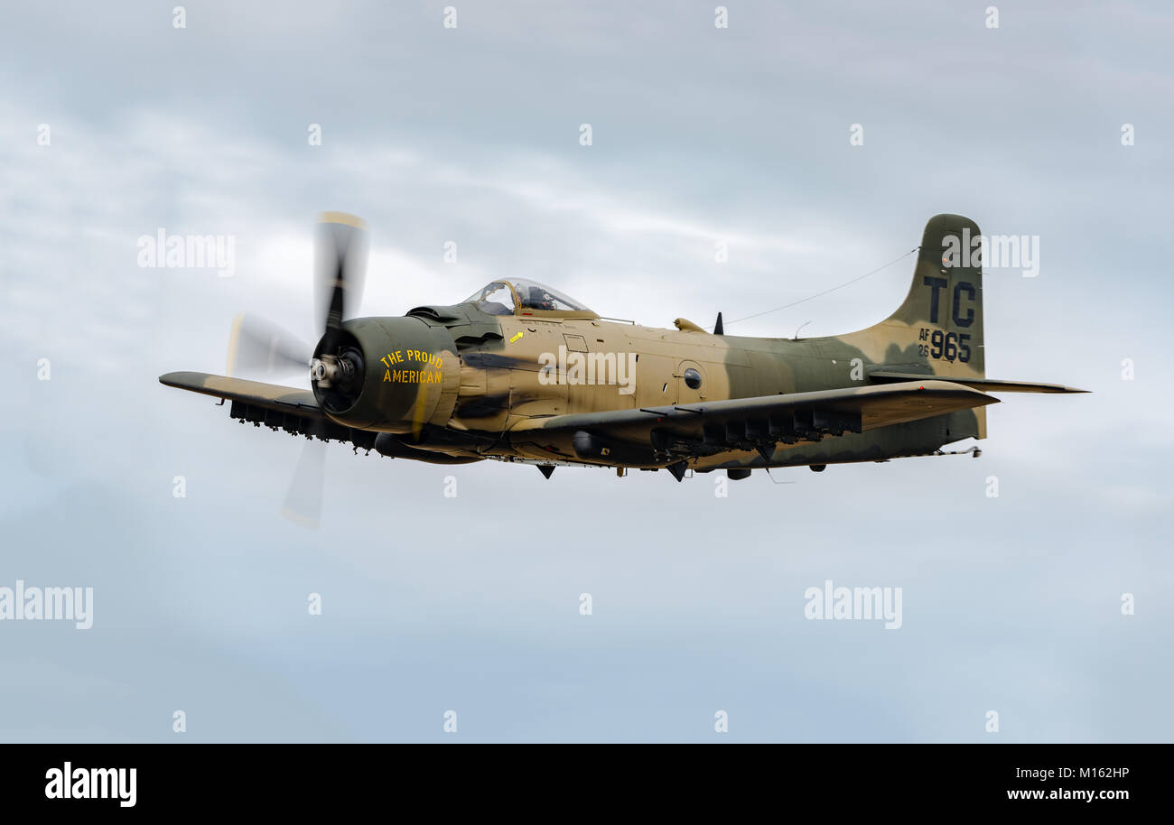 A-1 Skyraider in corrispondenza di un'esibizione aerea all'Heritage Flight Museum, Skagit aeroporto regionale, Burlington, Washington, Stati Uniti d'America Foto Stock