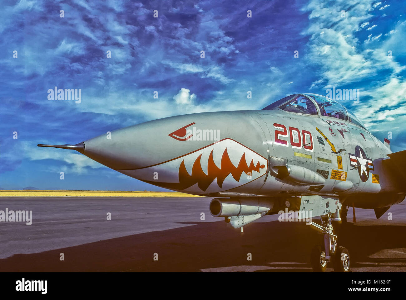 F-14 Tomcat in corrispondenza di un'esibizione aerea a Pocatello aeroporto regionale, Pocatello, Idaho, Stati Uniti d'America Foto Stock